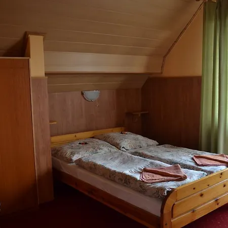 Fekete Macska Panzio Gasthof *