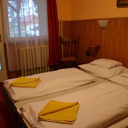 Fekete Macska Panzio Gasthof *