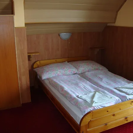 Fekete Macska Panzio *