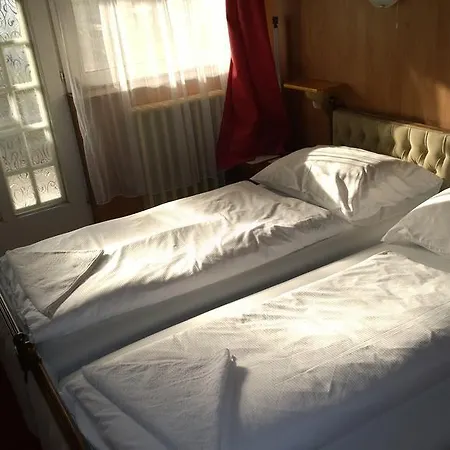 Fekete Macska Panzio Gasthof *
