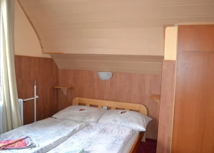 בית הארחה Fekete Macska Panzio *