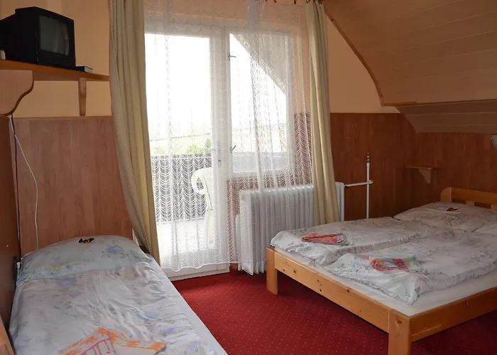 Fekete Macska Panzio