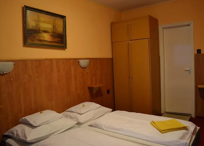 Fekete Macska Panzio *