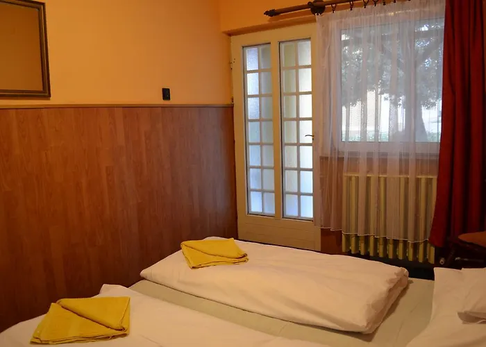 Fekete Macska Panzio