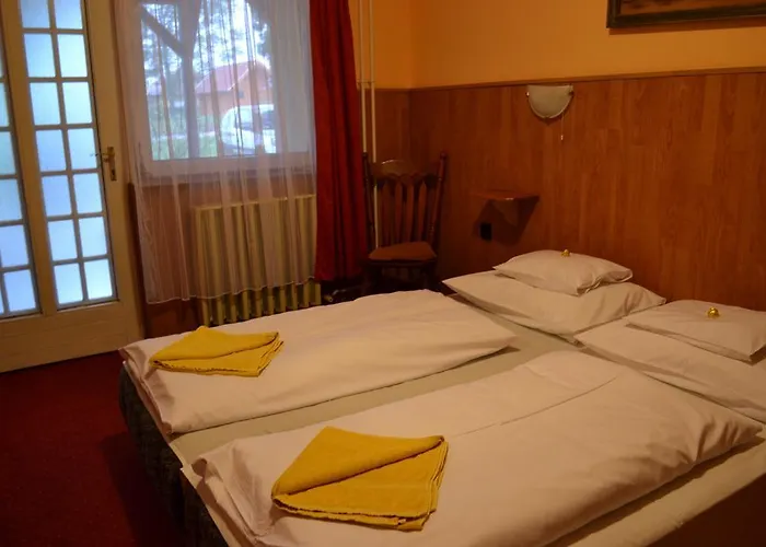 Fekete Macska Panzio בית הארחה *