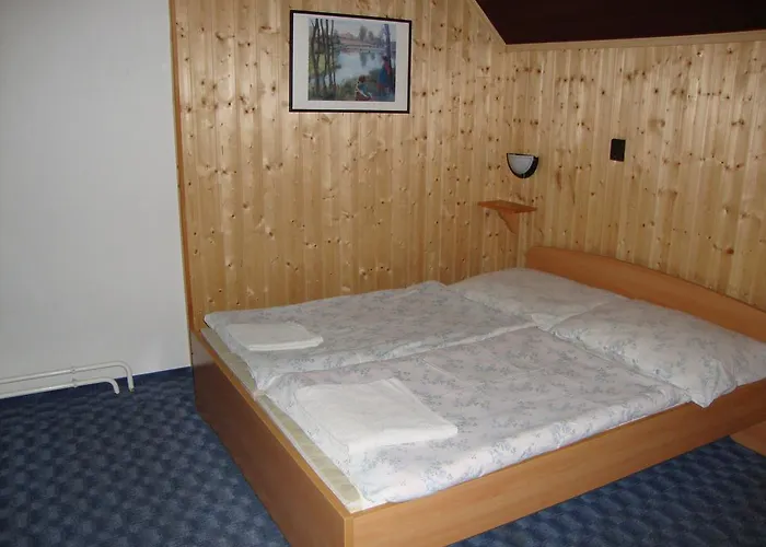 בית הארחה Fekete Macska Panzio