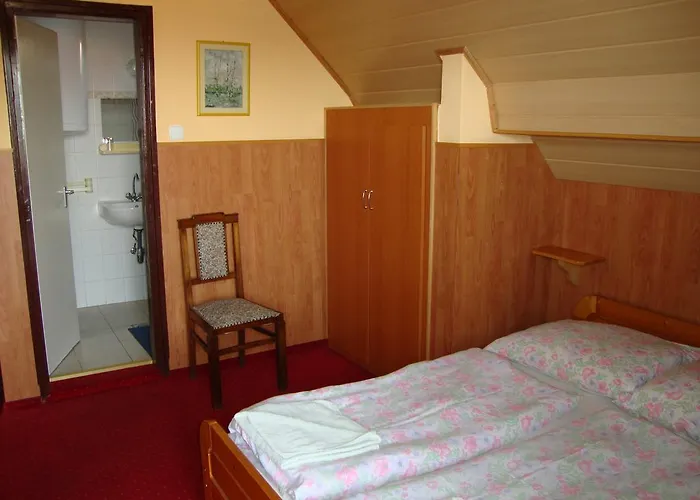 Fekete Macska Panzio בית הארחה