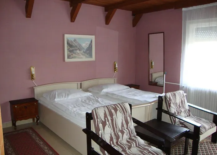 בית הארחה Fekete Macska Panzio *