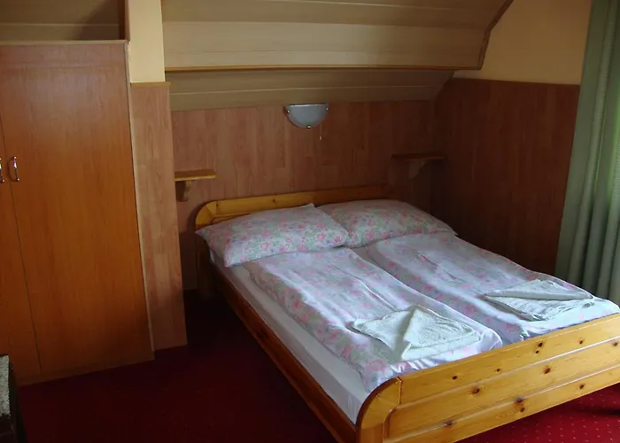 Fekete Macska Panzio *