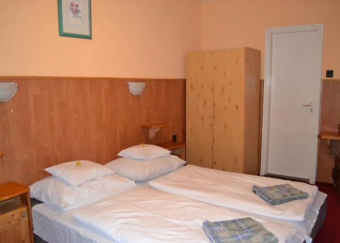 Fekete Macska Panzio *