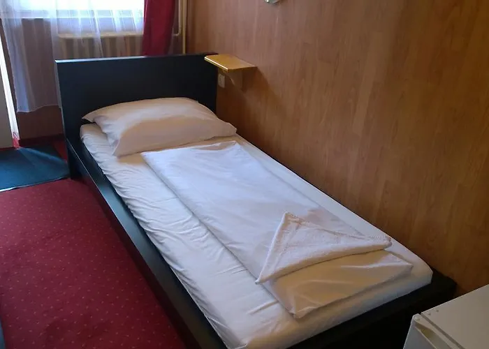 Fekete Macska Panzio בית הארחה