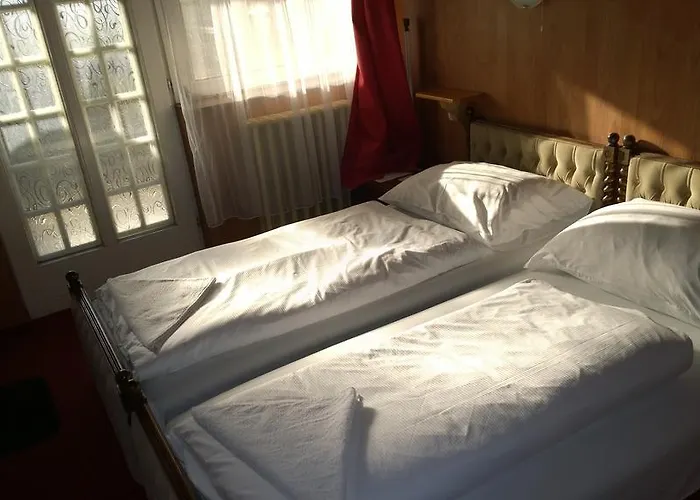 Fekete Macska Panzio בית הארחה *