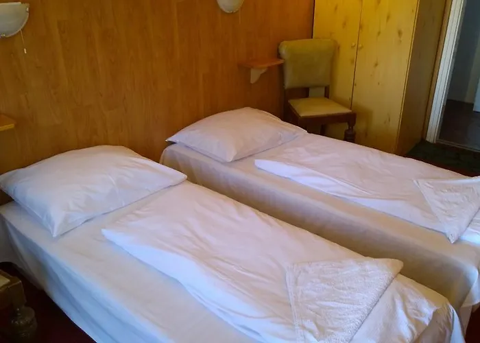 בית הארחה Fekete Macska Panzio