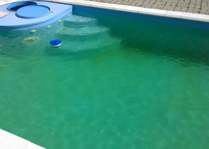 Fekete Macska Panzio בית הארחה *