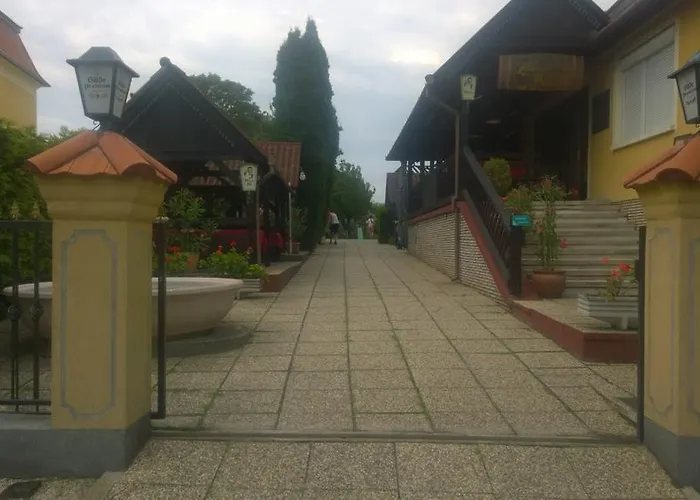 Fekete Macska Panzio